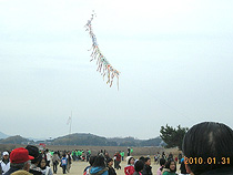 拡大写真